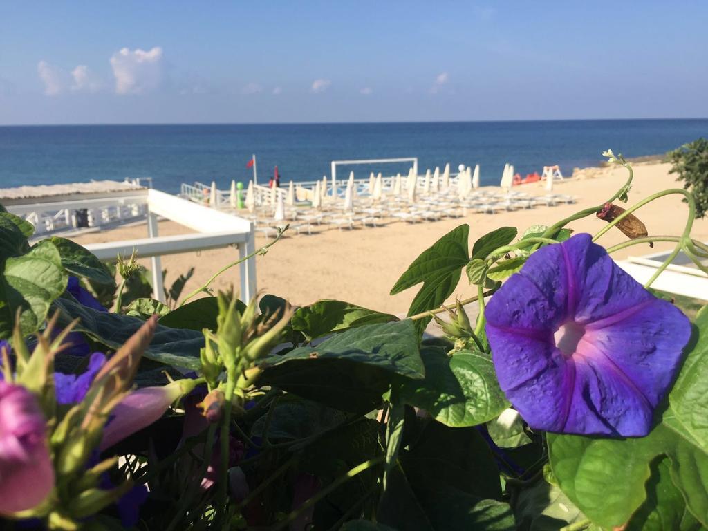Magia Del Salento Hotel Торе Сан Джовани Удженто Екстериор снимка